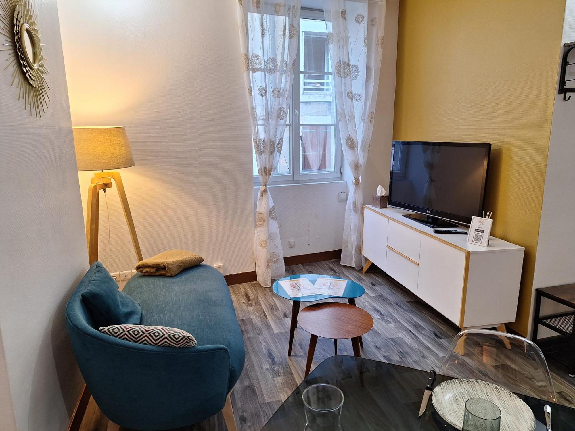 Apartment Bords De Loire Hypercentre 2 Personnes Orleans