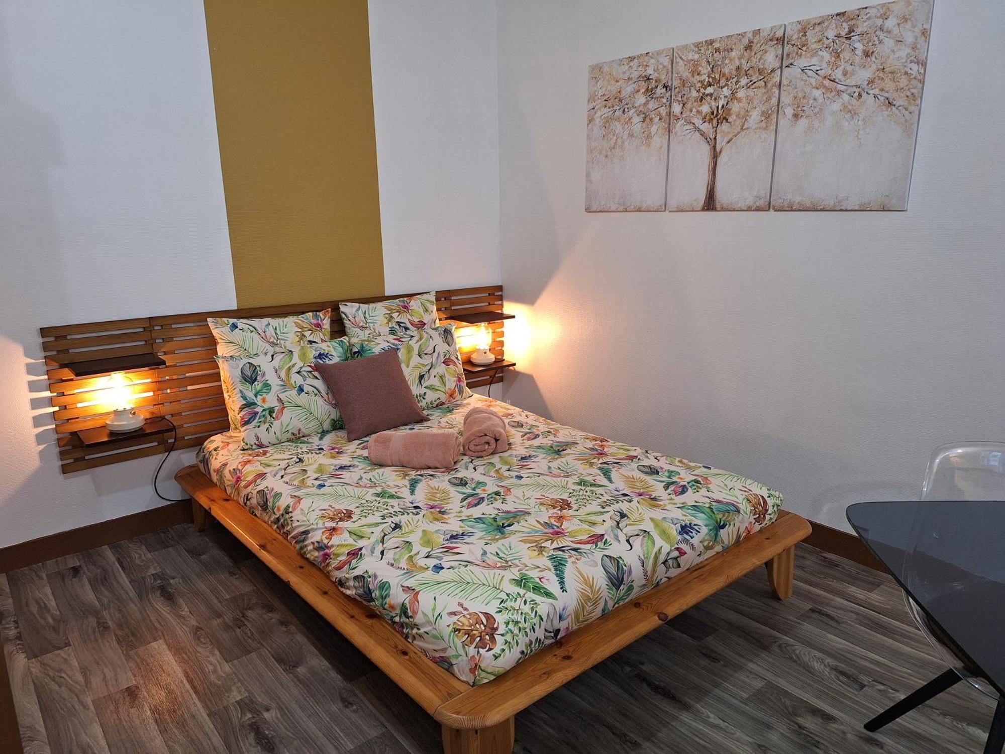Apartment Bords De Loire Hypercentre 2 Personnes *